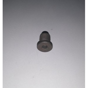 (COD.: 107-502-008) BUJÃO CARTER C/ IMA RANGER 05/11