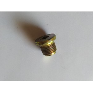 BUJAO DO CARTER PEUGEOT (COD: 107-508-003)
