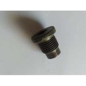 BUJAO CARTER RENAULT COD:107-508-001