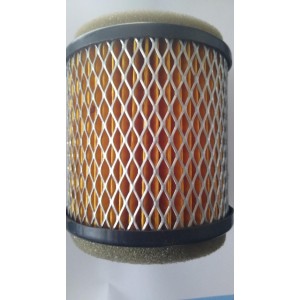 FILTRO PRO MAX STR 238 (WR 005 / ARM441/1)